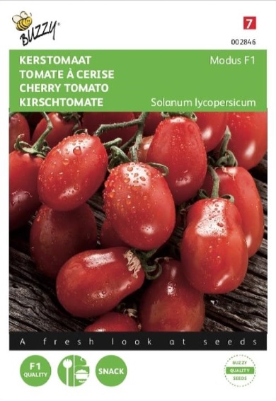 Cherry Tomato Modus F1 (Solanum) 10 seeds